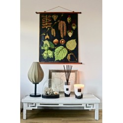 FEATHER Diffuseur Totem BAOBAB Collection Feathers 2l