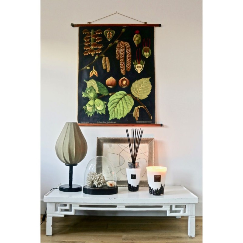FEATHER Diffuseur Totem BAOBAB Collection Feathers 2l