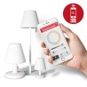 Lampe EDISON The Medium Connect