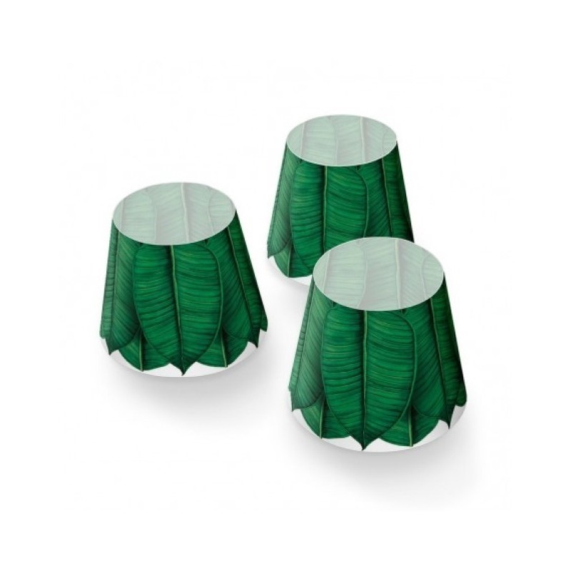 CAPPIES Edison The mini - Be Leaf