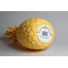 PINACOLADA Lampe Safran