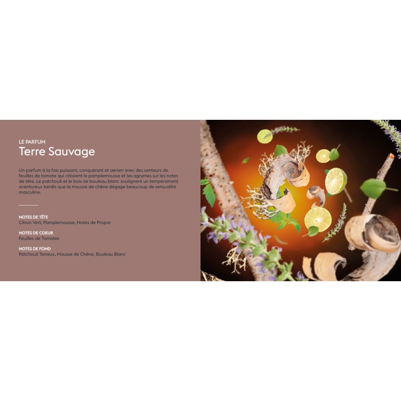 Terre Sauvage - Recharge Lampe Berger