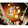Terre Sauvage - Recharge Lampe Berger