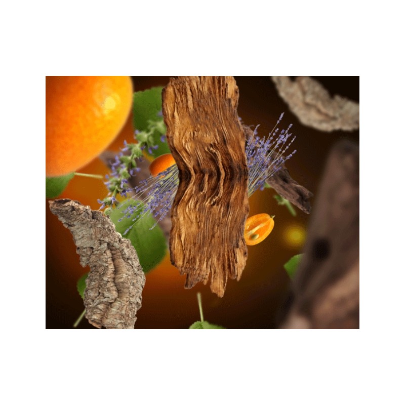 Bois Sauvage - Recharge Lampe Berger