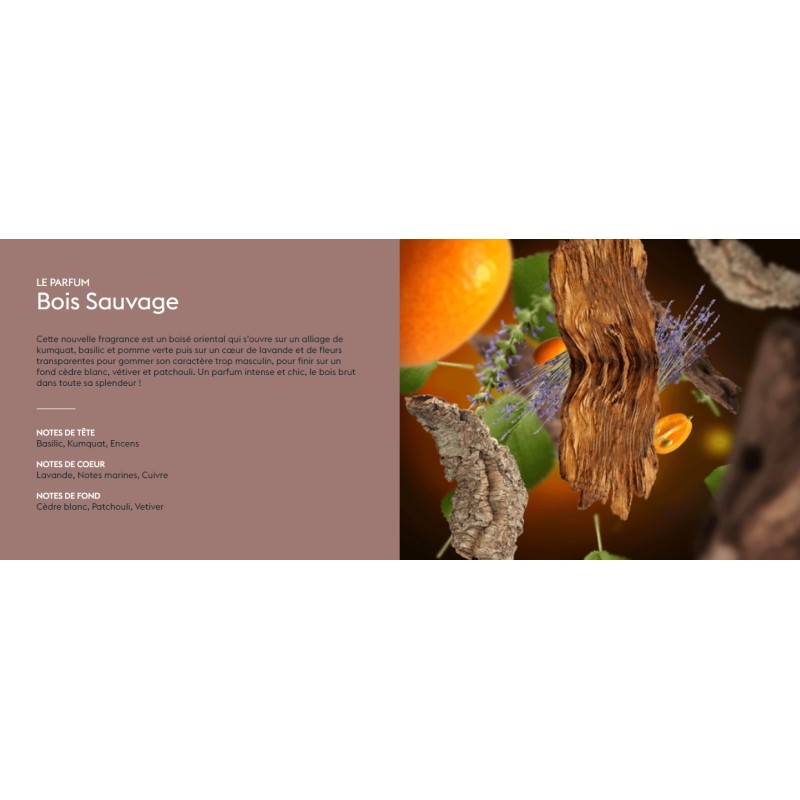 Bois Sauvage - Recharge Lampe Berger