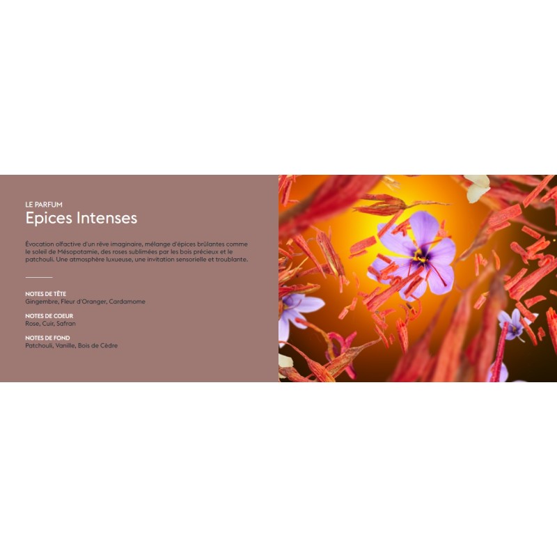 Epices Intenses - Recharge Lampe Berger