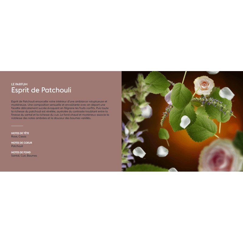 Esprit de Patchouli - Recharge Lampe Berger