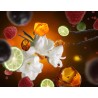 Etoile d Orient - Recharge Lampe Berger