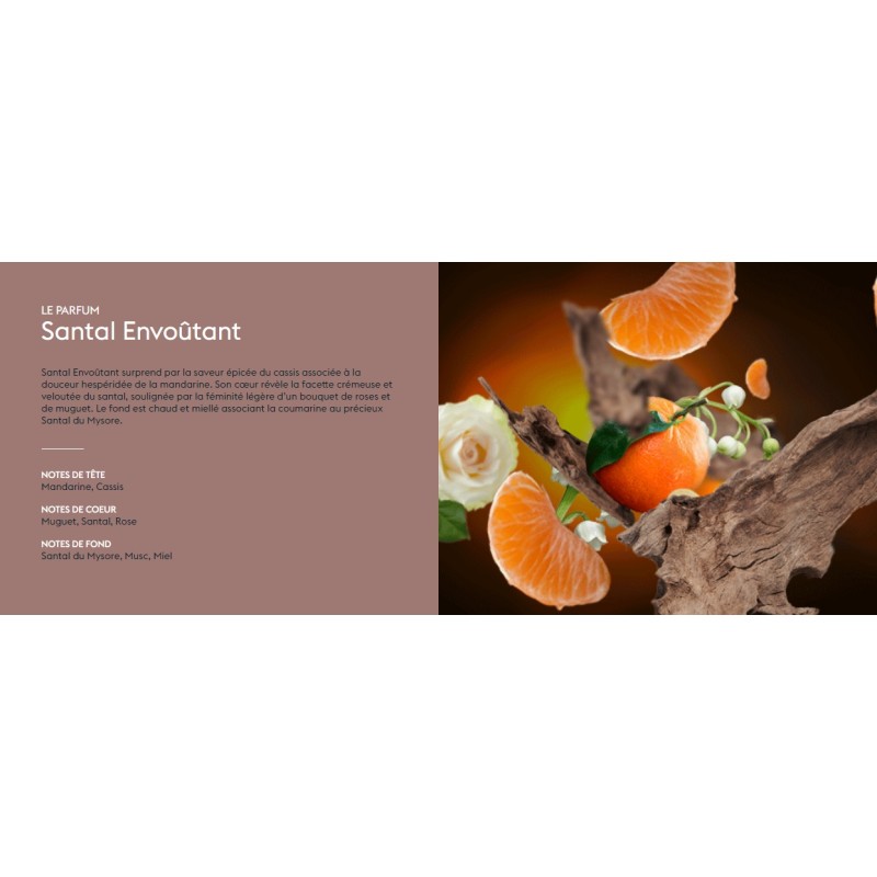 Santal Envoûtant - Recharge Lampe Berger