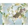 Brume Vegetale - Recharge Lampe Berger