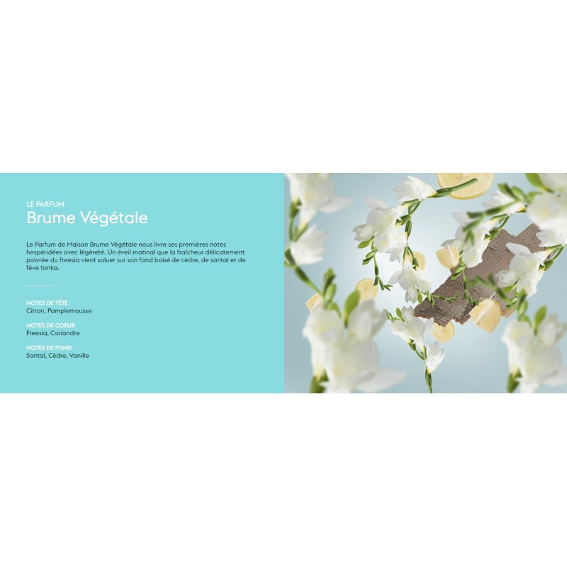 Brume Vegetale - Recharge Lampe Berger