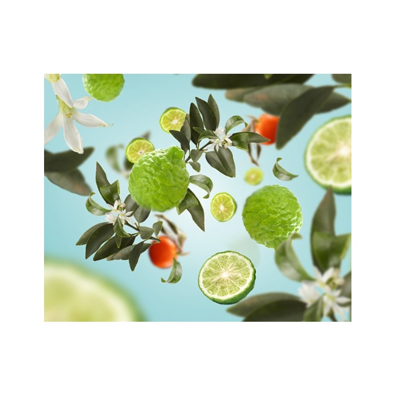Eclatante Bergamote - Recharge Lampe Berger