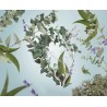 Fraicheur d Eucalyptus - Recharge Lampe Berger