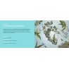 Fraicheur d Eucalyptus - Recharge Lampe Berger