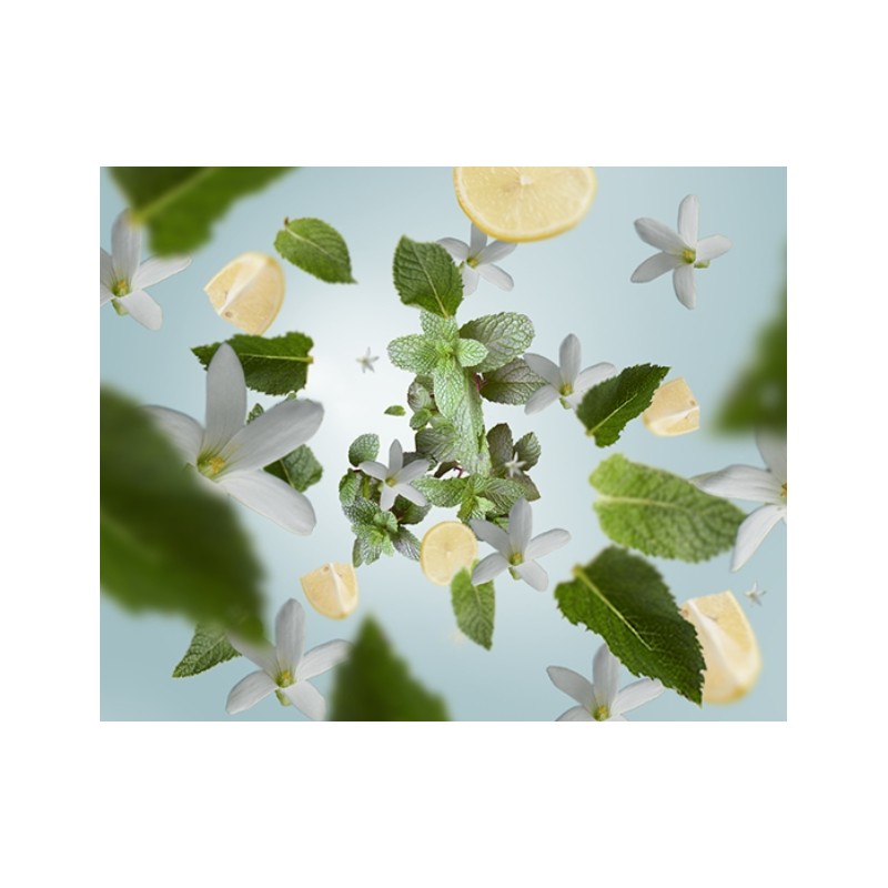 Menthe Fraiche - Recharge Lampe Berger