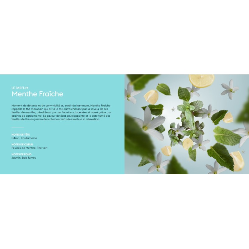 Menthe Fraiche - Recharge Lampe Berger