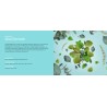Seve Eternelle - Recharge Lampe Berger
