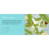 Zeste de Verveine - Recharge Lampe Berger