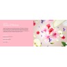 Amour d hibiscus - Recharge Lampe Berger