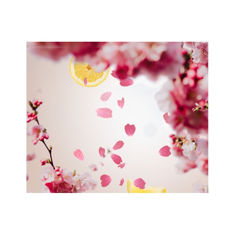 Cerisier en fleurs - Recharge Lampe Berger