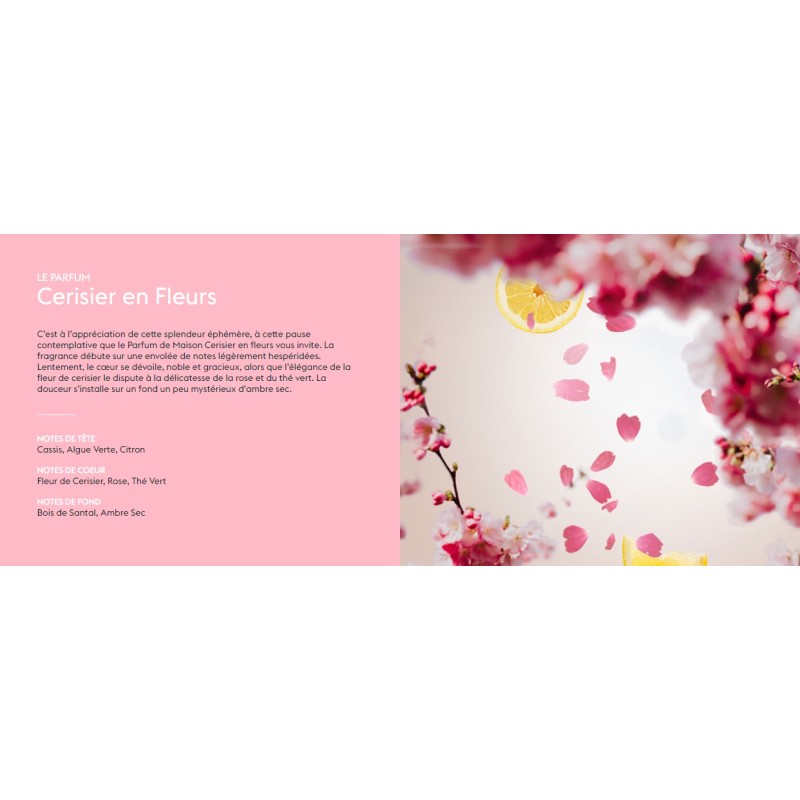 Cerisier en fleurs - Recharge Lampe Berger