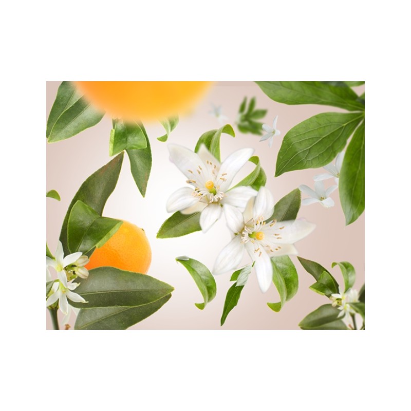 Fleur d Oranger - Recharge Lampe Berger