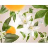 Fleur d Oranger - Recharge Lampe Berger