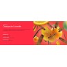 Orange de Cannelle - Recharge Lampe Berger