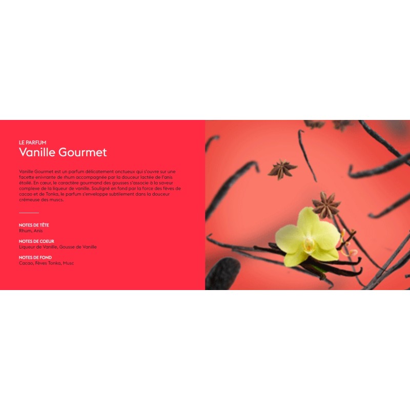 Vanille Gourmet - Recharge Lampe Berger
