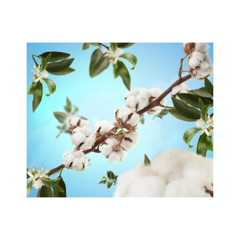 Caresse de Coton - Recharge Lampe Berger