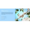 Caresse de Coton - Recharge Lampe Berger