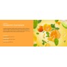 Mandarine Aromatique - Recharge Lampe Berger