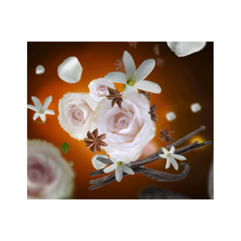Aroma RELAX - Recharge Lampe Berger