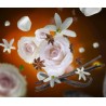 Aroma RELAX - Recharge Lampe Berger