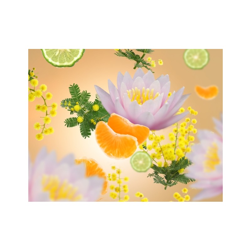 Aroma D-stress - Recharge Lampe Berger