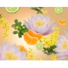 Aroma D-stress - Recharge Lampe Berger