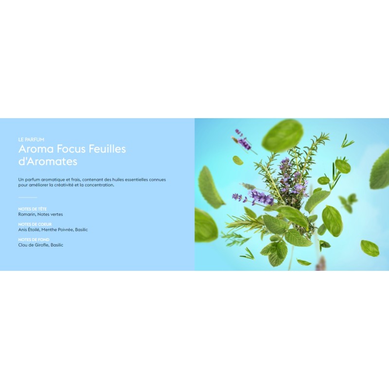 Aroma FOCUS - Recharge Lampe Berger
