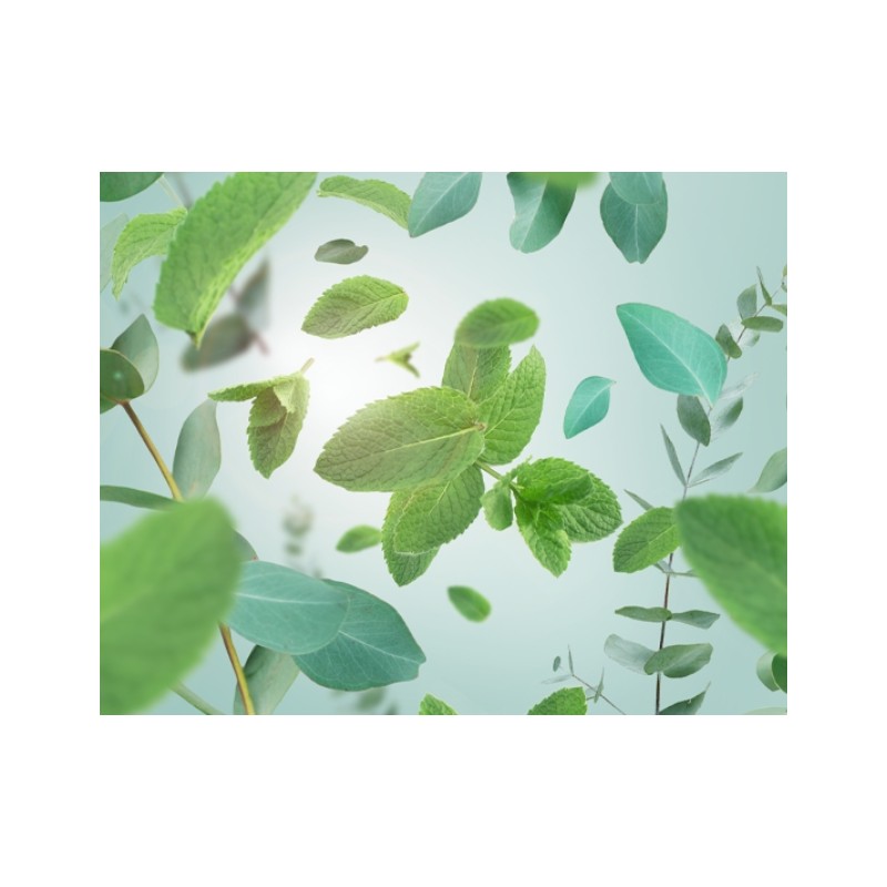 Aroma RESPIRE - Recharge Lampe Berger