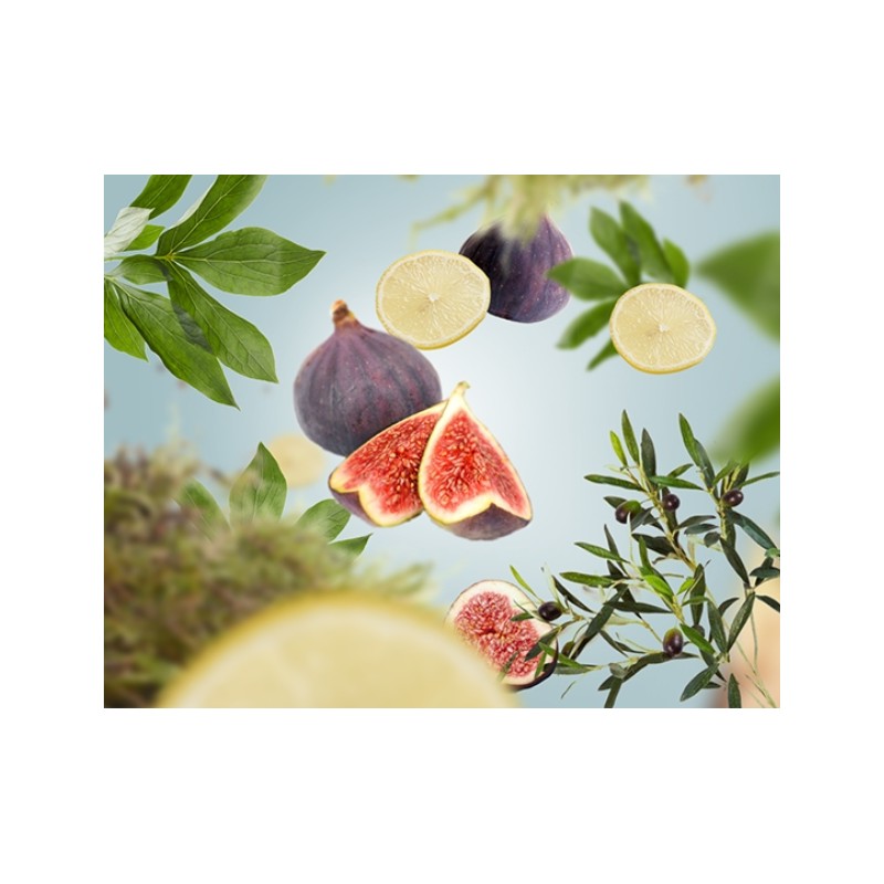 Jardins sur la Riviera - Recharge Lampe Berger