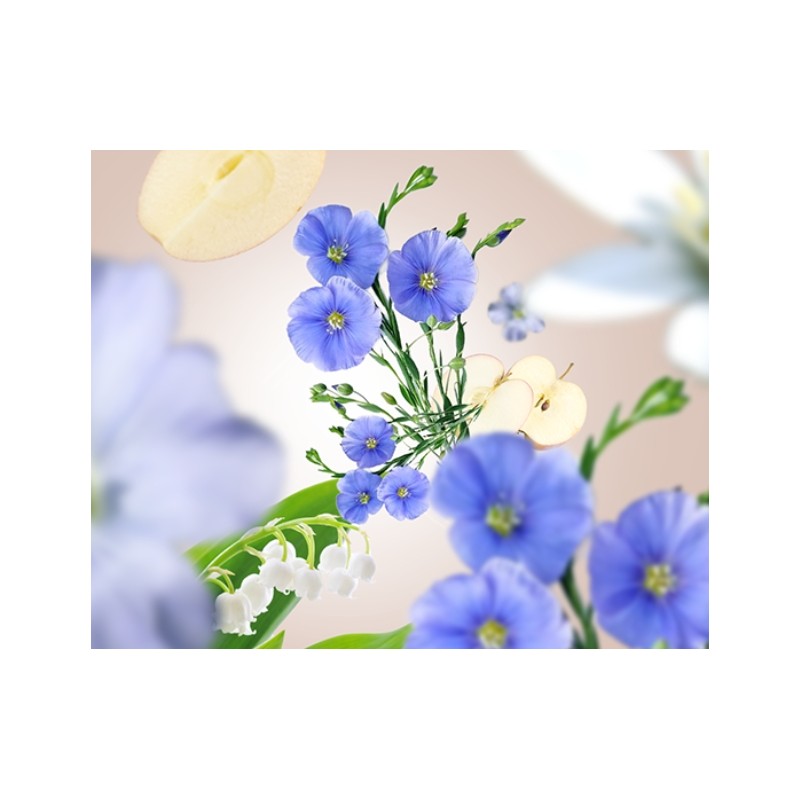 Lin en Fleurs - Recharge Lampe Berger