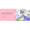 Lin en Fleurs - Recharge Lampe Berger