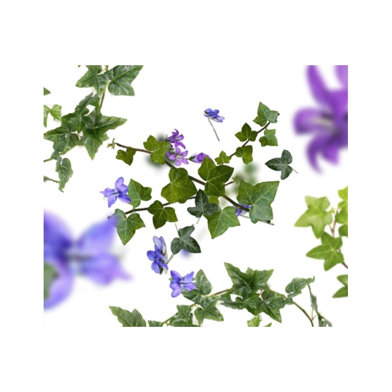 Lolita Lempicka - Recharge Lampe Berger