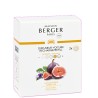 Lait de Figue set de 2 Recharges Diffuseur voiture