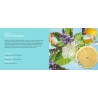 Coffret diffuseur voiture RIVIERA Citron Tonique