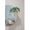 PERCH Miroir Umbra