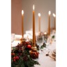 Candela Chandelles Baobab