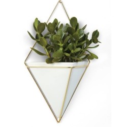 TRIGG Vase mural - blanc doré