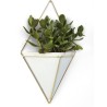 TRIGG Vase mural - blanc doré