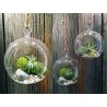 SFERA Boule en verre à suspendre