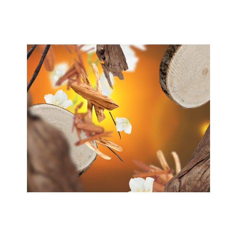 Tentation Santal - Recharge Lampe Berger